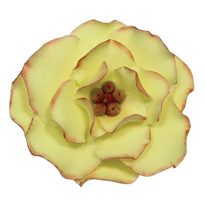 PME STAINLESS STEEL Cake Cupcake CUTTERS - BRIAR ROSE FLOWER PETAL SET OF 4